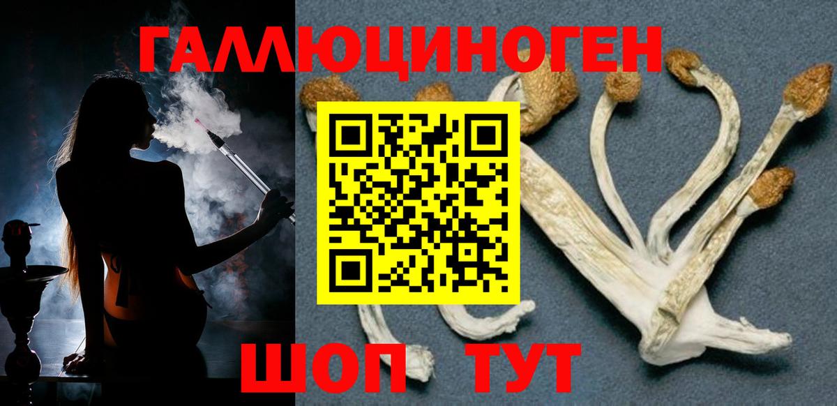 Ивантеевка  Псилоцибиновые грибы MAGIC MUSHROOMS  Вход с VPN  Псилоцибиновые грибы Psilocybine cubensis 